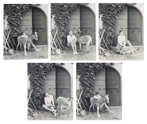 Artwork by Norman Parkinson, Five works: Audrey Hepburn with Bimba the Donkey at the Villa Rolli, Cecchina, 23 June, 1955, Made of gelatin silver prints