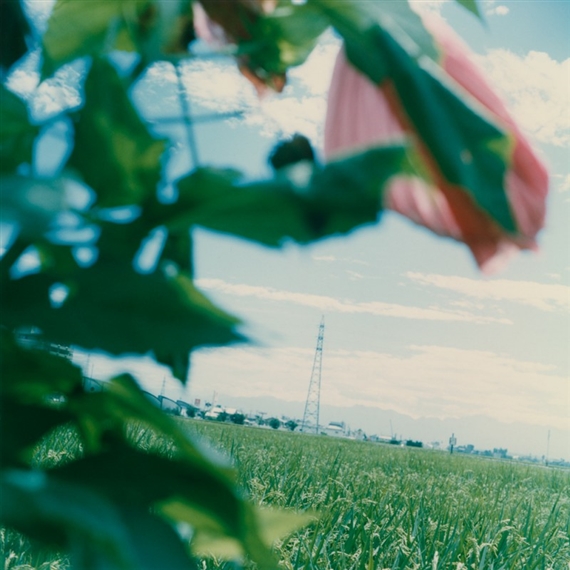 Mikiko Hara: In the Blink of an Eye 1996-2009 - Miyako Yoshinaga 