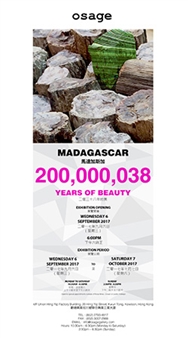 Madagascar 200,000,038 Years of Beauty - Osage Gallery, Hong Kong