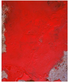Heaven on earth - Van der Mieden Gallery