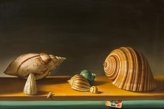 Coquillages by Fernand Renard