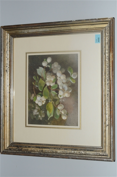 Schneebeerenstrauch by Clementine Stockar-escher