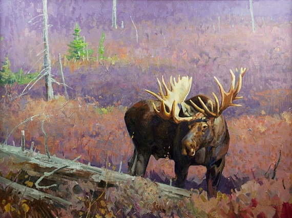 Denali Colors by Luke Frazier