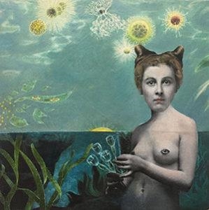 Suzanne Sbarge: Meta/Morph - Turner Carroll Gallery