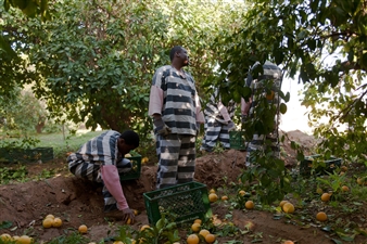 State Property - BronxArtSpace