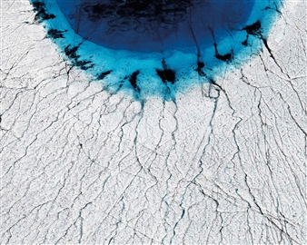 Wisdom & Nature: In Aid of Le Ciel Foundation - Phillips New York