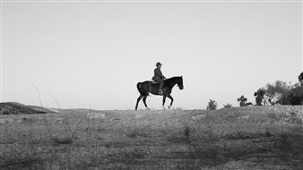 Shaun Gladwell: 1000 Horses - Sherman Contemporary Art Foundation