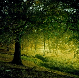 Transformative Topographies