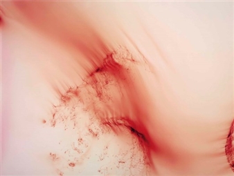 Freischwimmer 120 - Wolfgang Tillmans