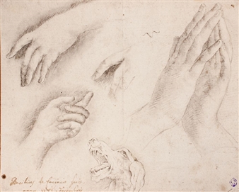 Studi di mani e studio di testa di cane - Basilio Lasinio