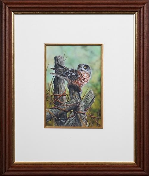 Paul Margocsy | Australian Boobook | MutualArt