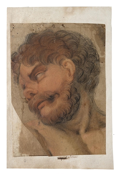 Head of a male figure turned to his left by Italian School, 16th Century