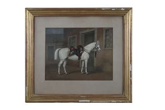 A Study of a Grey Charger of the Second Dragoon Guards - T. Walsh