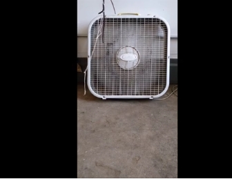 Will Stewart: A Late Lunch at The Paradise of Silence Cafe - 321 Gallery