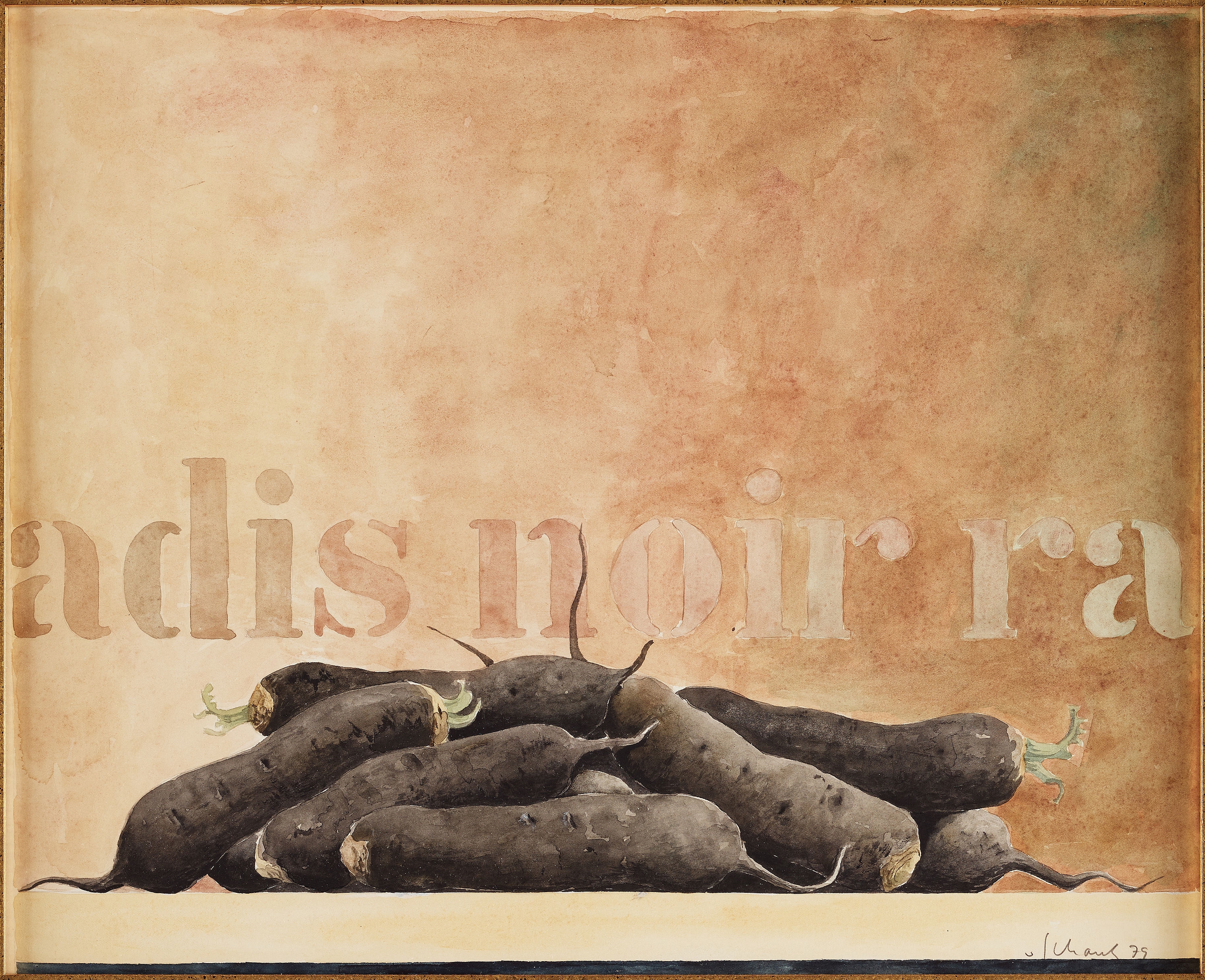 Radis Noir by Philip von Schantz, 1979