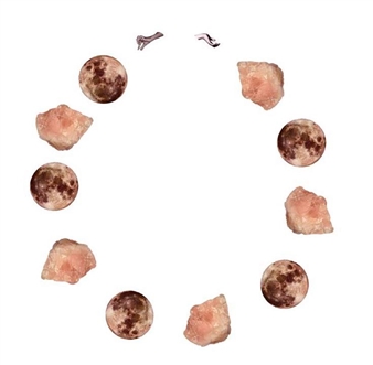 Lotus - Bosse & Baum