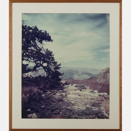 Grand Canyon (6) - Marcia C. Sheer