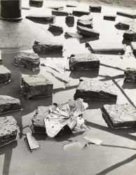 Artwork by Jan Hajn, A Swallow, Made of Vintage ferrotyped gelatin silver print