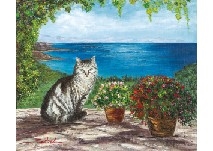 Cat in seaside - Suiver Guret