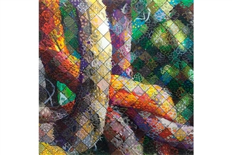 Free Form Five: Elga Wimmer Opens Group Exhibition