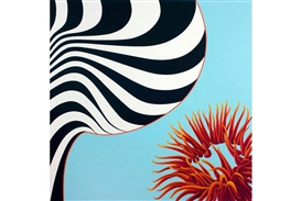 Carl Solway Gallery introduces the work of Cherie Benner Davis to Cincinnati audiences