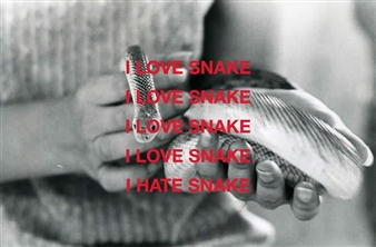 Clare Strand: Snake - Parrotta Contemporary Art, Stuttgart