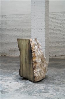 Michael Joo: Uniformitarian Assumptions (and other ghosts) - Galeria Carles Taché