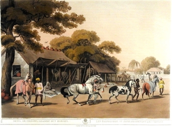 Set of 4, Hunting scenes from the Indian sub continent - Sam Hewitt