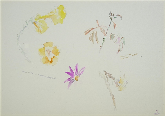 Sem título by Jaime Silva