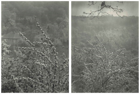 2 Works: View of Spring from our Street by Josef Sudek, 1973