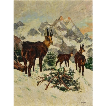 "Gams-Rudel im Hohen-Göll bei Berchtesgaden". - A. Hofer