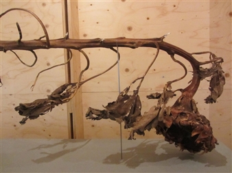 Loek Grootjans: Vincent’s asylum - C&H Gallery