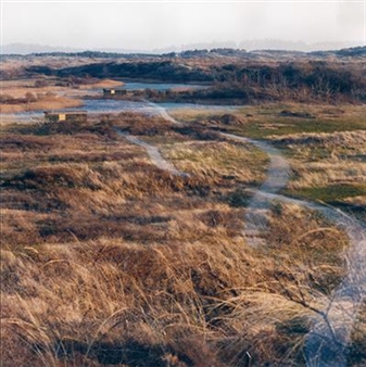 Views on Landscapes - Reuten Galerie
