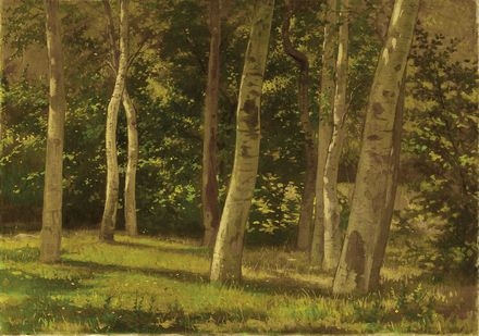 Primavera Nel Bosco by Francesco Gioli, 1891