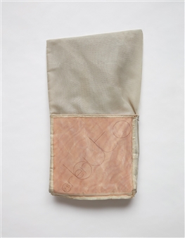 P31 Parangolé, capa 24, Escrerbuto - Hélio Oiticica