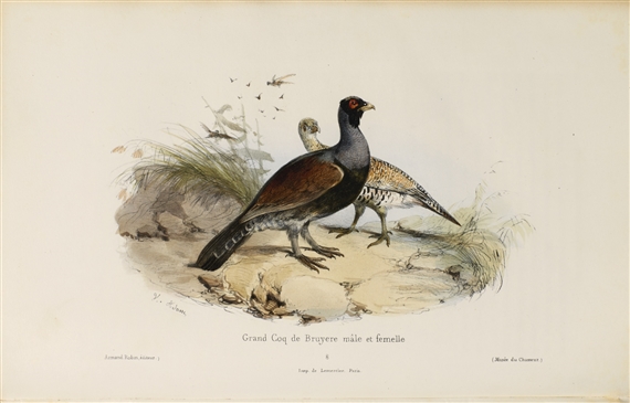 2 WORKS, MUSÉE DU CHASSEUR, OU COLLECTION DE TOUTES ESPÈCES DE GIBIER DE POIL OU DE PLUME QU'ON CHASSE AU FUSIL