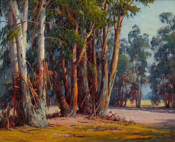 Eucalyptus Grove by Paul Grimm