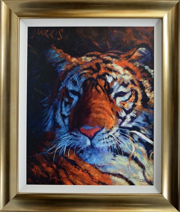 Rolf Harris Tiger Soaks Up The Last Of The Sun MutualArt