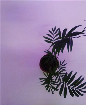 Pep Vidal: Who Wants To Be An Impatient Gardener (!?) - Henry Street Settlement / Abrons Arts Center