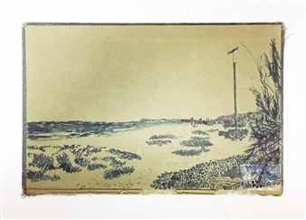 LAndscape - Monte Vista Projects