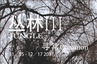 Jungle III - Common - Platform China, Beijing