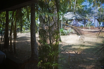 Anatoly Gankevych: Looking Through - Dymchuk Gallery