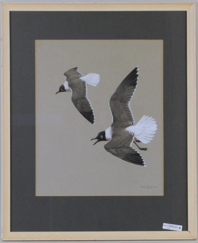 Robert Verity Clem | Shore Birds in Flight (1955) | MutualArt