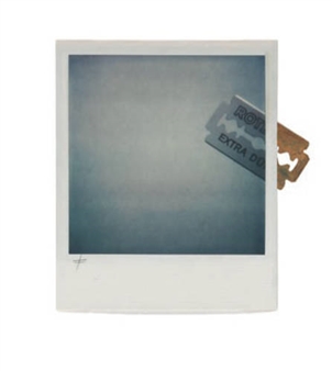 The Polaroid Project - WestLicht 