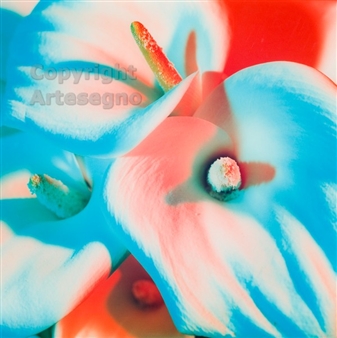 Calla n. 7 - Turchese rosso - Laura Viale