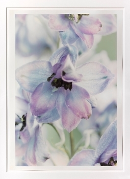 Charity Exhibition - Thaddaeus Ropac, Salzburg (Villa Kast)