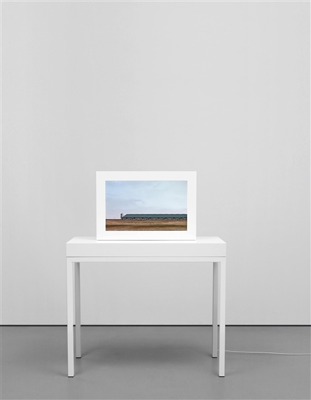 Sow Farm (Near Libbey, Oklahoma) by John Gerrard, 2009