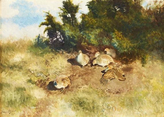 Rapphöns som solar sig by Bruno Liljefors, 1922