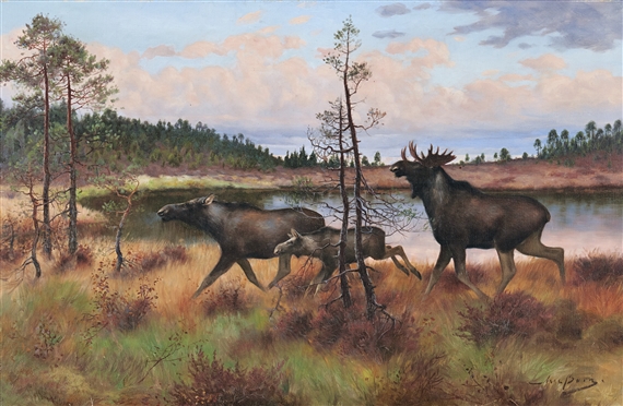 Genetics or nurture essay axel borg lillehammer 4r31 filmbay 277oq rol koch edu5 html 02 image