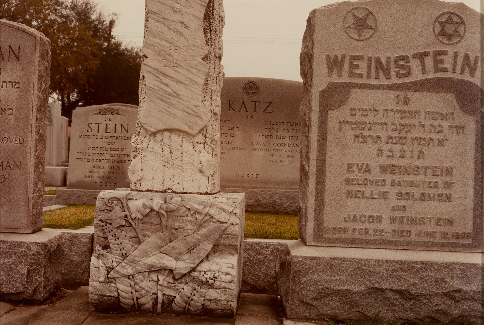 Artwork by William Eggleston, Untitled, Made of chromogenic print